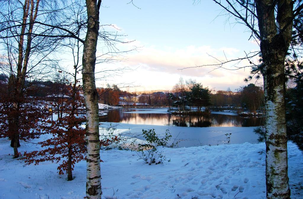 27 Aughrim Holidays Exterior photo